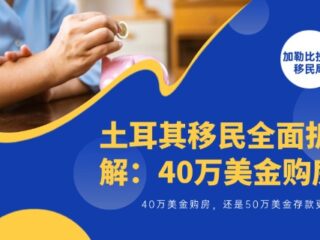 土耳其移民全面拆解：40万美金购房，还是50万美金存款更稳妥？