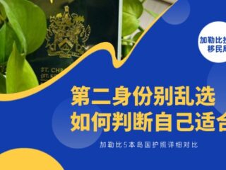 第二身份别乱选｜加勒比 5 本岛国护照详细对比