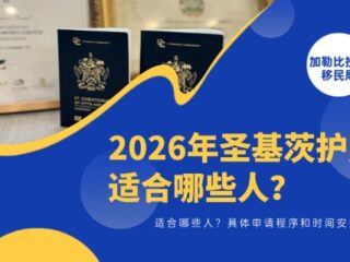 圣基茨护照适合哪些人？具体申请程序和时间安排？