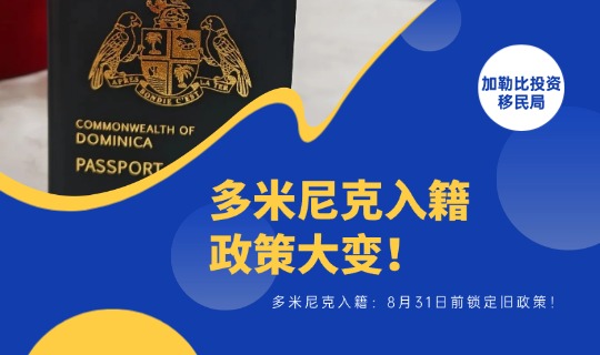 多米尼克入籍1
