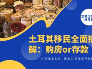 土耳其移民全面拆解：40万美金购房，还是50万美金存款更稳妥？