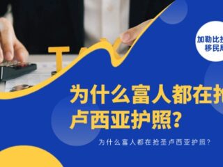 为什么富人都在抢圣卢西亚护照？