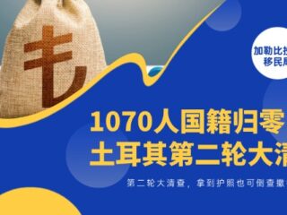 1070人国籍归零！土耳其第二轮大清查打响，拿到护照也可倒查撤销