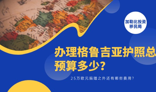 办理格鲁吉亚护照总预算多少？25万欧元捐赠之外还有哪些费用？