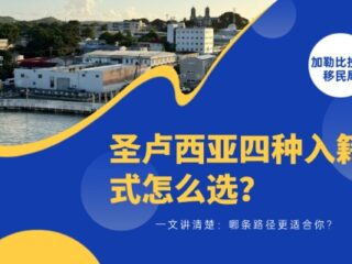圣卢西亚四种入籍方式怎么选？哪条路径更适合你？