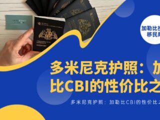 多米尼克护照：加勒比CBI的性价比之选